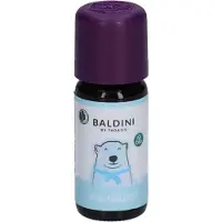 Baldini Winterzeit Duftkomposition Öl 10 ml