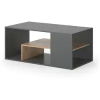 Vicco Couchtisch Edgar Anthrazit/Goldkraft Eiche 110 x 59 cm, Model 55602