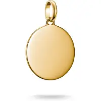 Thomas Sabo Charm Club Connect CC1273-413-39 Charm Anhänger