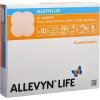 Smith&Nephew Silikon-Schaumverband 21x21cm