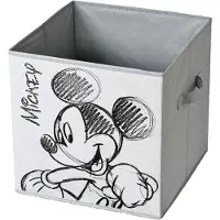 EDM Domo Pack Living Mickey Speicherbucket Grau Grau One Size