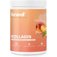Brandl Kollagen Pulver Pfirsisch 555g Dose