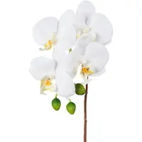 Creativ Green Kunstorchidee "Orchidee Phalaenopsis" mit real-touch-Blüten