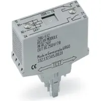 Wago 286-312/004-000 Relaismodul,Eingangsnennspannung DC 24 V,2 Wechsler,grau 286312004000