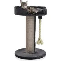 Canadian Cat Company CanadianCat Ontario, Katzenkratzbaum, Freistehend, Grau, Plüsch, Sisal, 20 cm