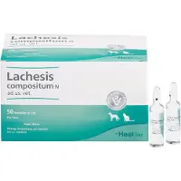 Heel Lachesis Compositum N ad us.vet.Ampullen 50 St Ampullen