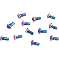 Sram Rotor Bolt Titanium T25 Kettenblattschraubensatz 12 Einheiten