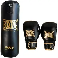 ASG Junior Boksest - 15 Kg. (Handsker + Boksepude) Sort/Guld