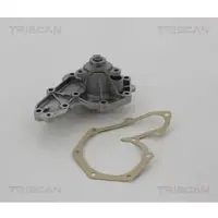 TRISCAN Wasserpumpe [Hersteller-Nr. 860010877] für Dacia, Mitsubishi, Opel, Renault, Suzuki, Vauxhall, Volvo