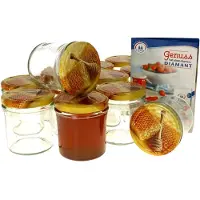 MamboCat 12er Set Sturzglas 350 ml Carino To 82 Deckel mit Honigwabe incl. Diamant Gelierzauber Rezeptheft