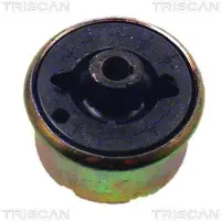 TRISCAN Lagerung, Lenker [Hersteller-Nr. 850016820] für Ford, Jaguar