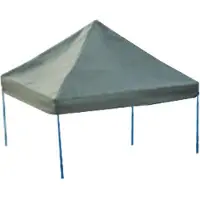Amewi Racertelt Amewi 1:10 010-SH80144 Grøn