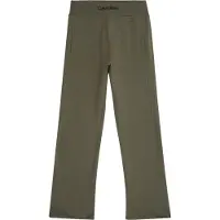Calvin Klein Jeans Jogginghose IB0IB02538 D Grün Regular Fit