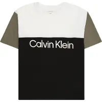 Calvin Klein Jeans T-Shirt Blocking IB0IB02528 D Schwarz Relaxed Fit