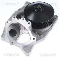 TRISCAN Wasserpumpe 8600 11051