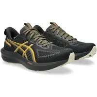 Asics Gt-1000 14 Gore-tex Laufschuhe
