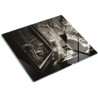 Tulup GLASPLATTE 60x52 cm Katzen im Fenster