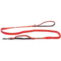 Beeztees Parinca Elastic Führleine