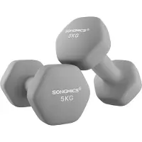 Songmics Kurzhanteln 2er-Set grau SYL910G01