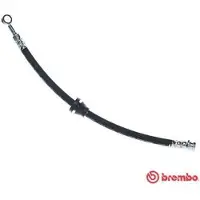 Brembo Bremsschlauch ESSENTIAL LINE T 10 018