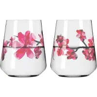 Ritzenhoff Wasserglas-Set Allround-Glas SOMMERSONETT #3 / #4 je 500 ml 2 Stück