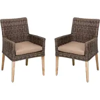 Garden Pleasure 2er Set Armstuhl NORVELL