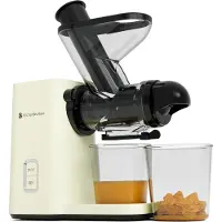 Kitchenbrothers Slow Juicer Mini - Entsafter - Obst- und Gemüsepresse - 40mm und 50mm Einfüllöffnung - 400ml - Champagner