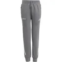 Adidas Kinder Hose MercedesAMG Petronas Formula One Team Silver Arrows für Kinder