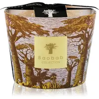 Baobab Duftkerze Sacred Trees Cocody Max 10