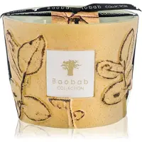 Baobab Duftkerze Folia Garrigue Max 10