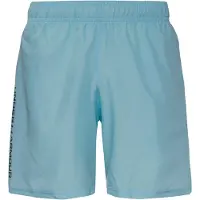 Under Armour Herren Shorts Ua Tech Woven Wordmark Short 1383356-494__LG