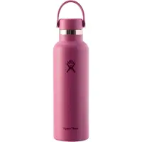 Hydroflask 21 Oz Standard Flex Cap trinkflasche