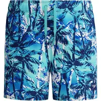 Speedo Kinder Badeshorts Boys Digi Printed 13 Watershort
