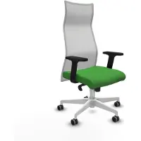 Piqueras Y Crespo Bürostuhl B2D026G grün