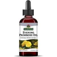 Natures Answer Nachtkerzenöl 120 ml