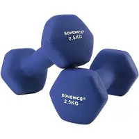 Songmics Hantel-Set Kurzhanteln, 2er Set, Krafttraining, zu Hause, Büro