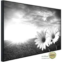 Papermoon Infrarotheizung »EcoHeat - Blumen Schwarz + Weiss«, Matt-Effekt - bunt