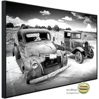 Papermoon Infrarotheizung »EcoHeat - Autowracks Schwarz + Weiss«, Matt-Effekt - bunt