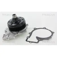 TRISCAN Wasserpumpe 8600 23070