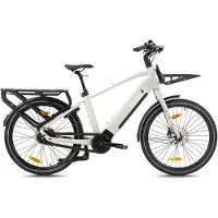 Monty Elektrisches Lastenrad V6 Strada | Größe M