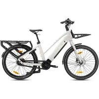 Monty Elektrisches Lastenrad V6 Strada St | Größe M