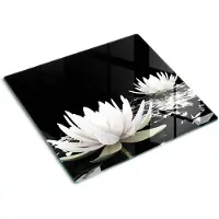 Tulup GLASPLATTE 60x52 cm Seerosen