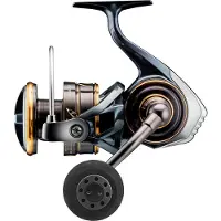 Daiwa Caldia Sw 2023 Spinnrolle