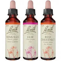 Nelsons GmbH Bachblüten-Set "Du schaffst das" 60 ml