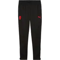 Puma Ac Milan 25/26 Training Hosen