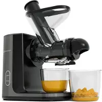 Kitchenbrothers Slow Juicer - Entsafter - Obst- und Gemüsepresse - 43mm und 60mm Einfüllöffnung - 400ml - Grau