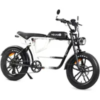 Youin Miami Faltbares Elektrofahrrad