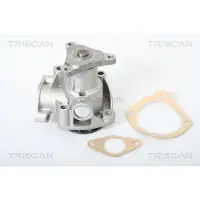 TRISCAN Wasserpumpe 8600 10003