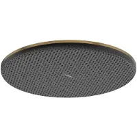 Hansgrohe Kopfbrause Raindance Alive S 300 1jet EcoSmart+ Brushed Bronze,24523140 24523140