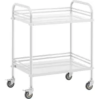 Steinberg Systems Laborwagen - Edelstahl - 2 Ablagen je 63 x 40 x 12,5 cm - 20 kg